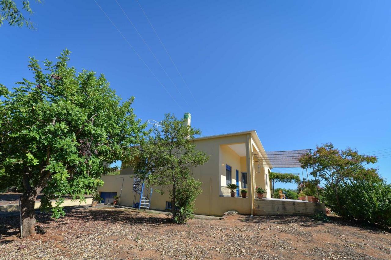 Santa Domenica Summer House Agia Kiriaki  Exterior photo