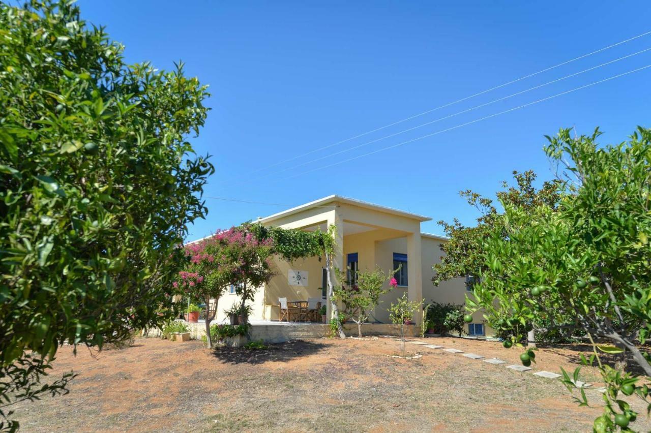 Santa Domenica Summer House Agia Kiriaki  Exterior photo